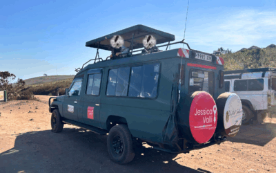 Safari in Tanzania + Zanzibar, l’itinerario (ap)provato