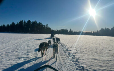 Lapponia svedese: viaggio fai da te, in inverno