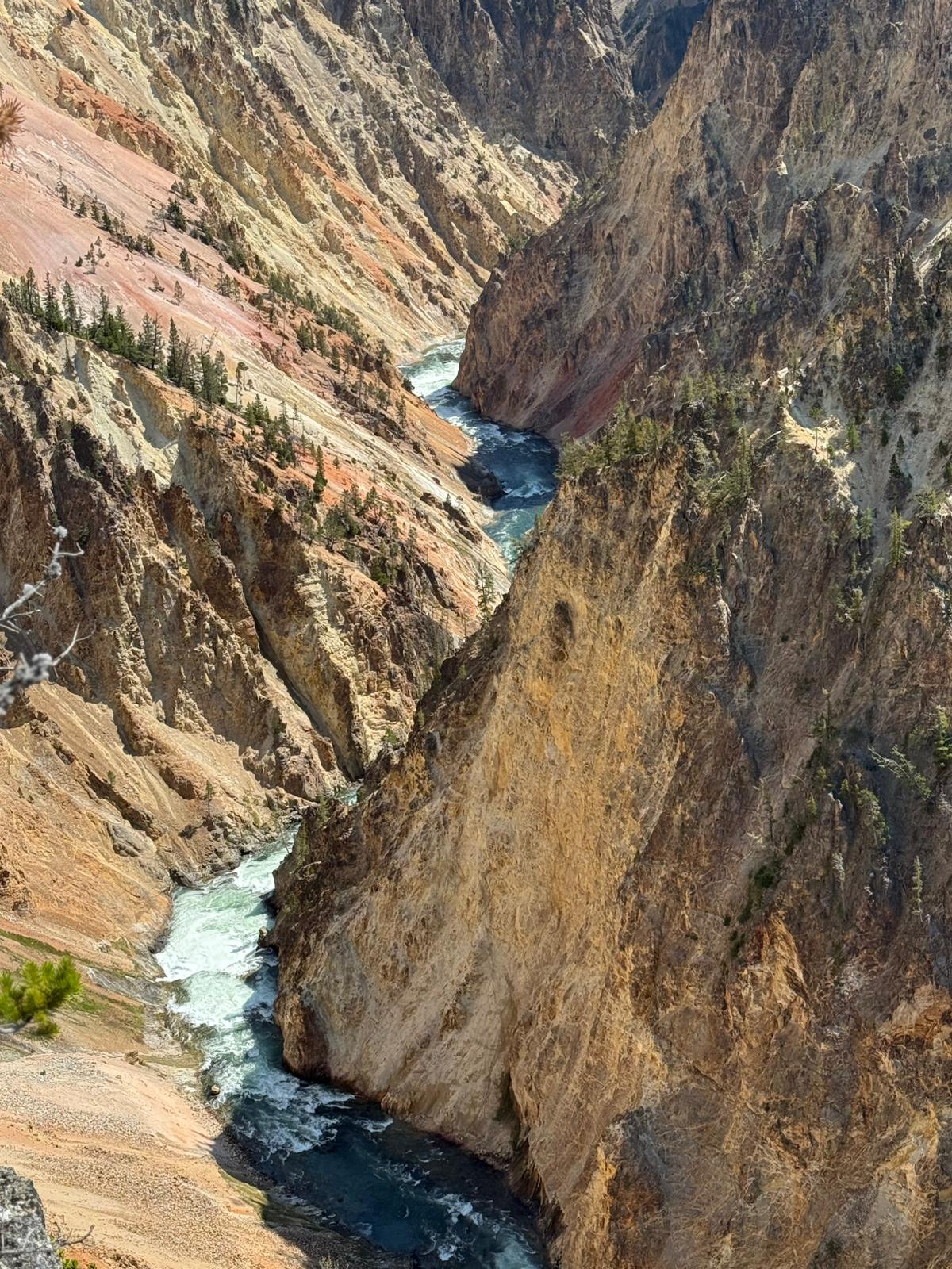 Grand Canyon al Yellowstone National Park