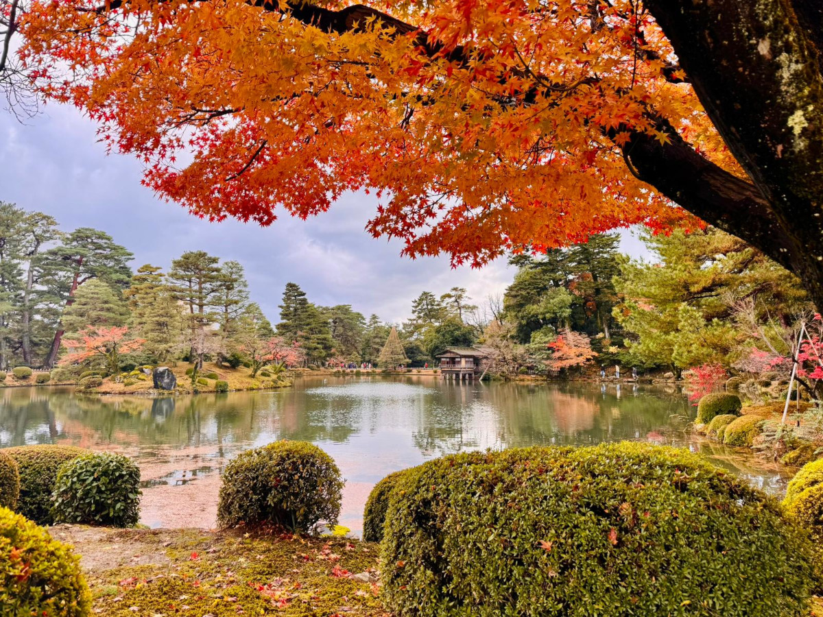Itinerario in Giappone a novembre. L'autunno tra il foliage - Jessica Valli