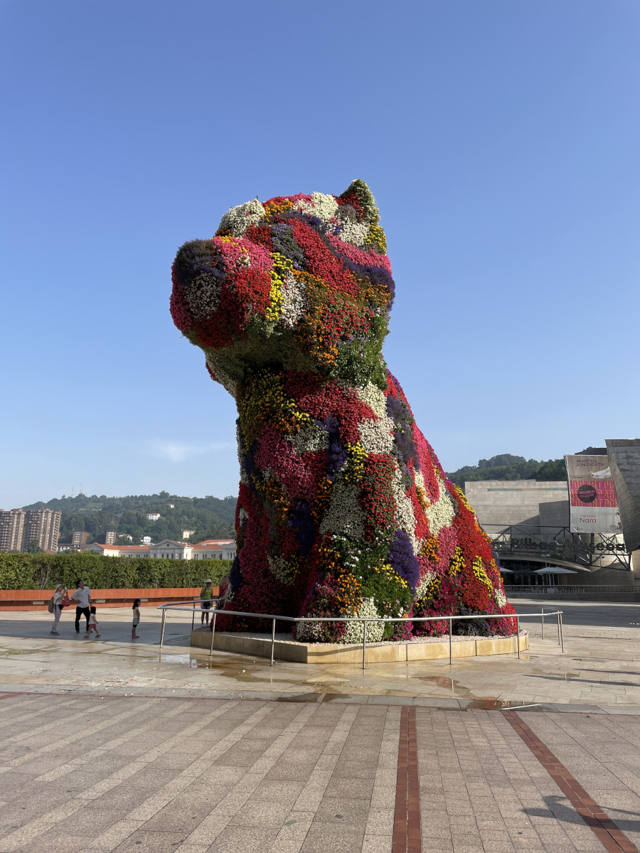 Puppy, Guggenheim
