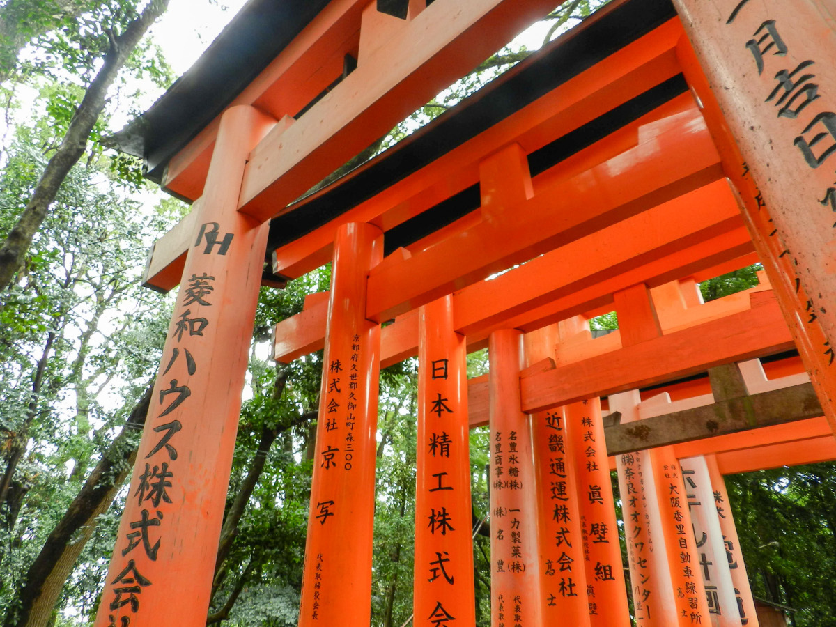 Santuario torii, cosa vedere a Kyoto in 5 giorni