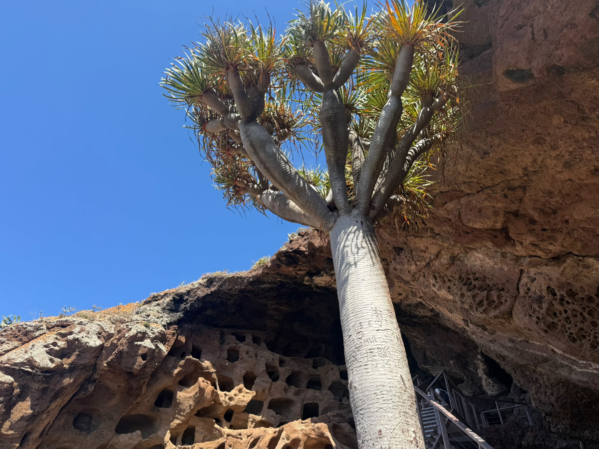 Cenobio de Valeron a Gran Canaria