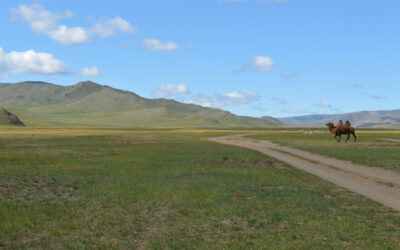 Mongolia itinerario di 2 settimane nella natura indomita